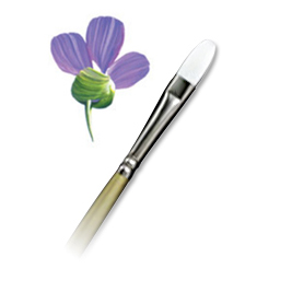 Snowhite Filbert Brushes